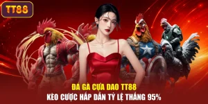 Đá Gà Cựa Dao TT88 – Kèo Cược Hấp Dẫn Tỷ Lệ Thắng 95%