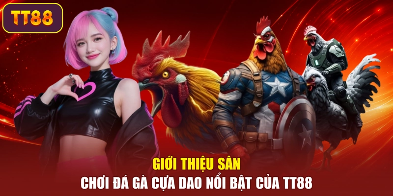 Giới thiệu sân chơi đá gà cựa dao nổi bật của TT88
